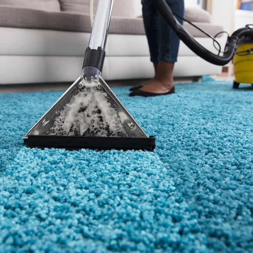 Technician deep cleaning carpet flooring in Hamilton home.